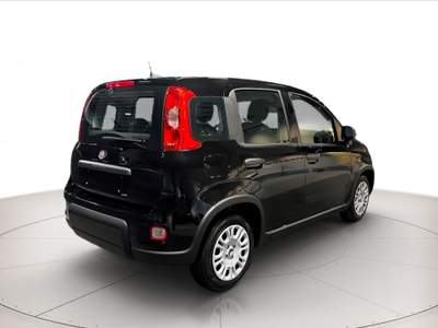 Fiat Panda 1.0 hybrid 70cv Nero usata Verona