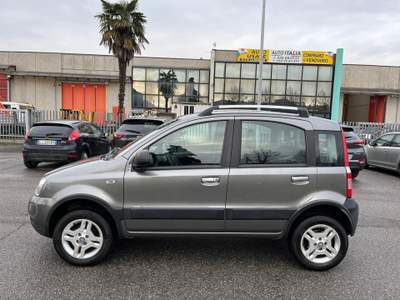 Fiat Panda 4*4 **NEOPATENTATI** Grigio usata Verdello