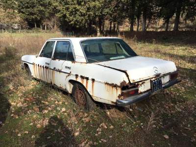 Mercedes-Benz Classe E 220 berlina  Bianco usata Morano Calabro