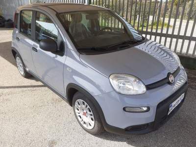 Fiat Panda 1000 HYBRID Grigio usata Pignataro Interamna