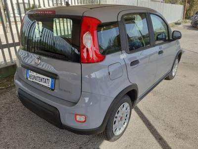 Fiat Panda 1000 HYBRID Grigio usata Pignataro Interamna