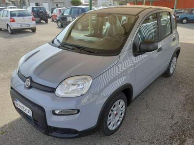 Fiat Panda 1000 HYBRID Grigio usata Pignataro Interamna