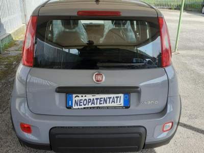 Fiat Panda 1000 HYBRID Grigio usata Pignataro Interamna