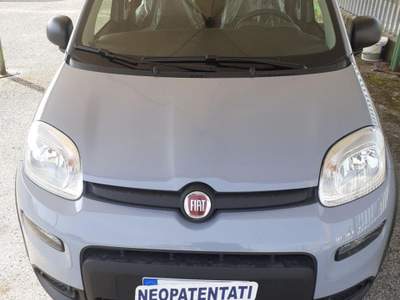 Fiat Panda 1000 HYBRID Grigio usata Pignataro Interamna