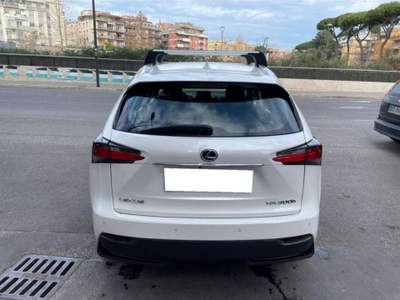 Lexus NX h 2.5 Luxury 4wd cvt Bianco usata Roma