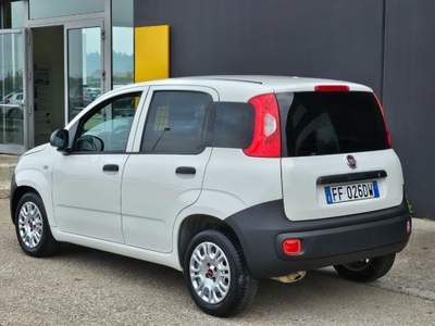 Fiat Panda 1.3 MJT S&S Pop Van 88.000 KM. Bianco usata Foggia
