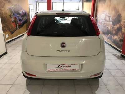 Fiat Punto 1.2 Street 5p E6 usata Sassari