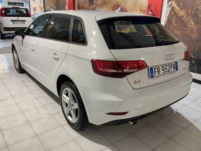 Audi A3 30 1.6 tdi Business 116cv Bianco usata Sassari