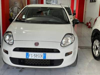 Fiat Punto Punto 1.3 mjt Street s&s 95cv 5p Bianco usata Sassari
