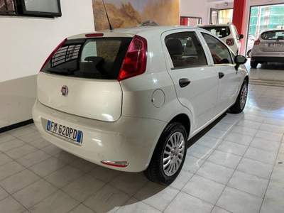 Fiat Punto 1.2 Street 5p E6 Bianco usata Sassari