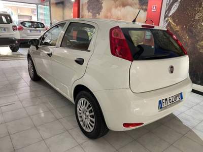 Fiat Punto 1.2 Street 5p E6 Bianco usata Sassari
