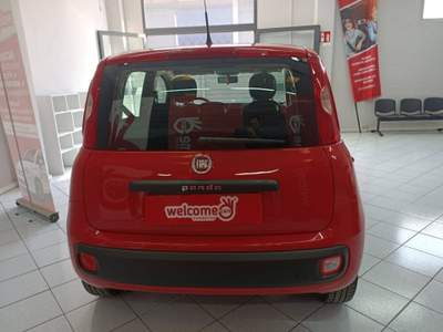 Fiat Panda 1.2 Connected by Wind s&s 69cv usata Sassari