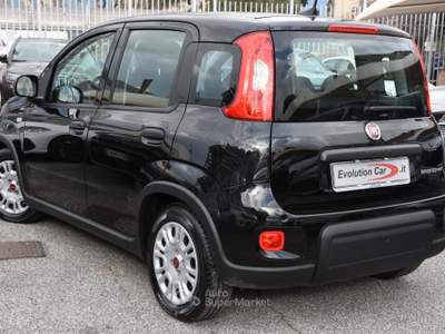 Fiat Panda 1.0 FireFly S&S Hybrid **5 POSTI** Nero usata Roma
