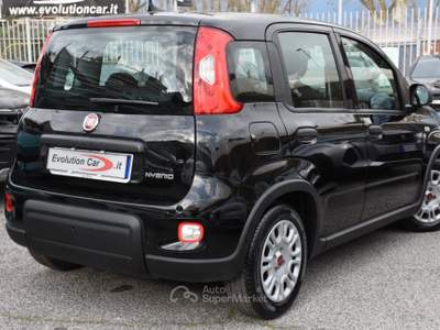 Fiat Panda 1.0 FireFly S&S Hybrid **5 POSTI** Nero usata Roma