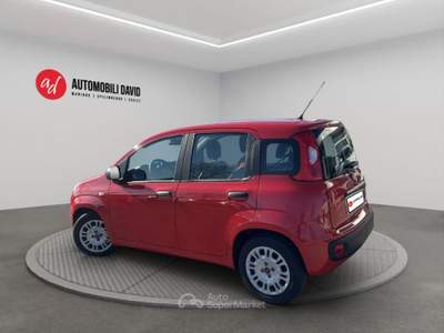 Fiat Panda 1.0 FireFly S&S Hybrid Rosso usata Maniago