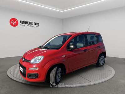 Fiat Panda 1.0 FireFly S&S Hybrid Rosso usata Maniago
