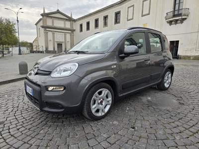 Fiat Panda Fiat New Panda 1.0 FireFly S&S Hybrid City Life Grigio usata ZOLA PREDOSA