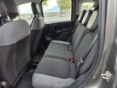 Fiat Panda Fiat New Panda 1.0 FireFly S&S Hybrid City Life Grigio usata ZOLA PREDOSA