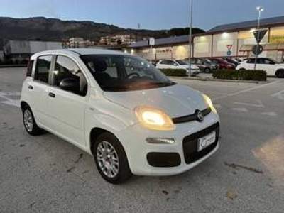 Fiat Panda 1.2 Easy easypower Gpl 69cv my19 Bianco usata Piana degli Albanesi