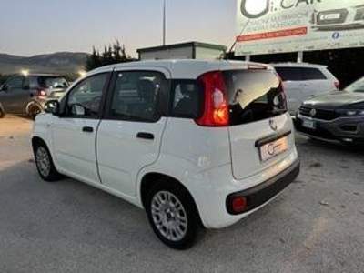 Fiat Panda 1.2 Easy easypower Gpl 69cv my19 Bianco usata Piana degli Albanesi