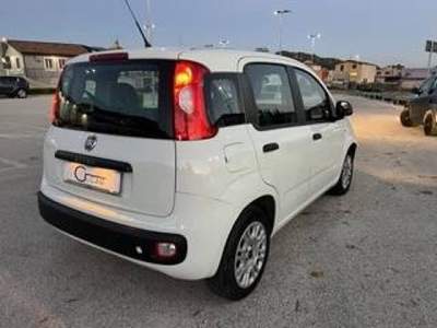 Fiat Panda 1.2 Easy easypower Gpl 69cv my19 Bianco usata Piana degli Albanesi