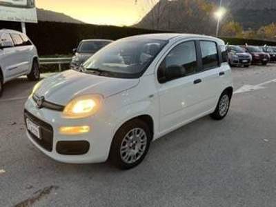 Fiat Panda 1.2 Easy easypower Gpl 69cv my19 Bianco usata Piana degli Albanesi