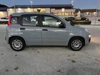 Fiat Panda 1.2 Easy easypower Gpl 69cv my19 Grigio usata Piana degli Albanesi