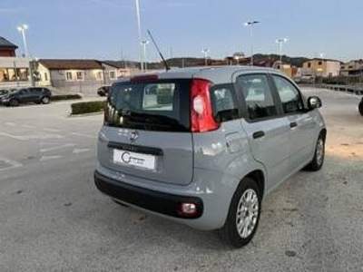 Fiat Panda 1.2 Easy easypower Gpl 69cv my19 Grigio usata Piana degli Albanesi