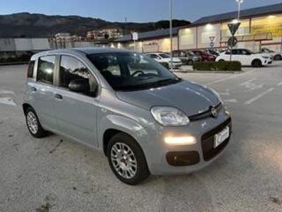 Fiat Panda 1.2 Easy easypower Gpl 69cv my19 Grigio usata Piana degli Albanesi