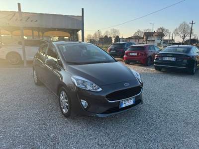 Ford Fiesta 1.1 75 CV GPL 5p. Business Grigio usata Ponte di Piave