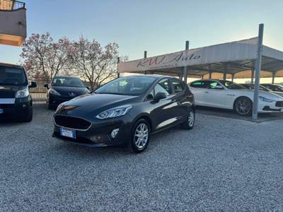 Ford Fiesta 1.1 75 CV GPL 5p. Business Grigio usata Ponte di Piave