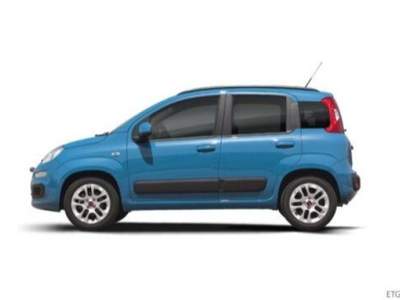 Fiat Panda 1.0 firefly hybrid City Life s&s 70cv 5p.ti Grigio usata Taurianova
