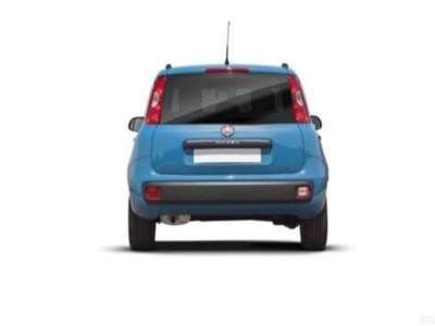 Fiat Panda 1.0 firefly hybrid City Life s&s 70cv 5p.ti Bianco usata Taurianova