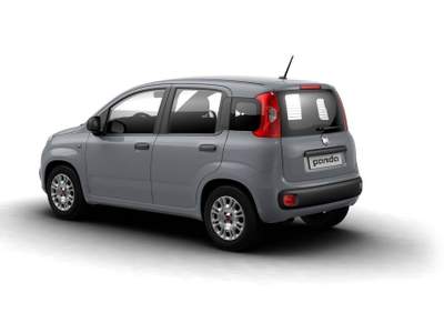 Fiat Panda 1.0 firefly hybrid s&s 70cv Grigio usata Taurianova