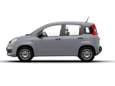 Fiat Panda 1.0 firefly hybrid s&s 70cv Grigio usata Taurianova