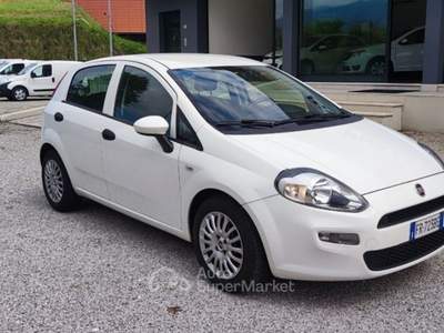 Fiat Punto 1.3 MJT II S&S 95 CV VAN AUTOCARRO Bianco usata Fonte
