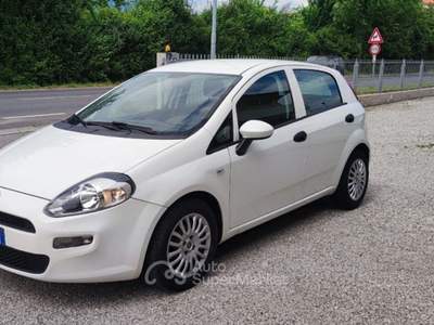 Fiat Punto 1.3 MJT II S&S 95 CV VAN AUTOCARRO Bianco usata Fonte