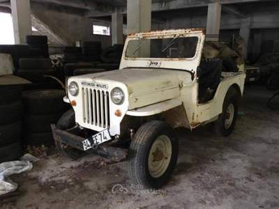 Jeep Willys  Bianco usata Morano Calabro