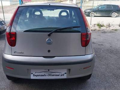 Fiat Punto 1.2i cat 3 porte ELX Grigio usata Urbino