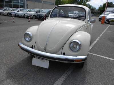 Volkswagen Maggiolino  Bianco usata Terni