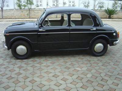 Fiat Panda FIAT 1100/103 Nero usata Terlizzi