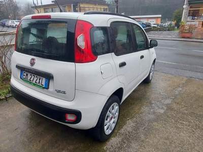 Fiat Panda  Bianco usata Riccò del Golfo di Spezia