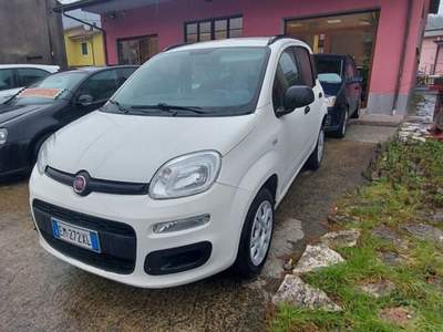 Fiat Panda  Bianco usata Riccò del Golfo di Spezia