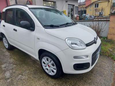 Fiat Panda  Bianco usata Riccò del Golfo di Spezia