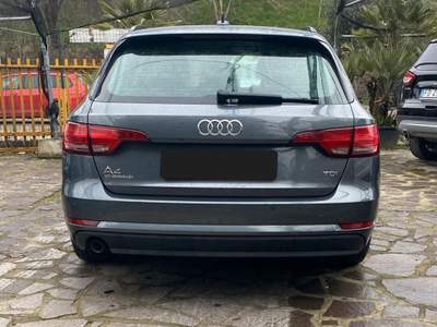Audi A4 TDI Business Plus usata Bologna