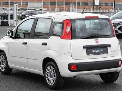Fiat Panda 1.0 FireFly S&S Hybrid Bianco usata Pianezza