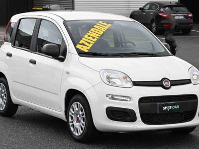 Fiat Panda 1.0 FireFly S&S Hybrid Bianco usata Pianezza