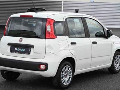 Fiat Panda 1.0 FireFly S&S Hybrid Bianco usata Pianezza