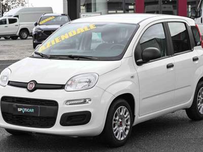Fiat Panda 1.0 FireFly S&S Hybrid Bianco usata Pianezza