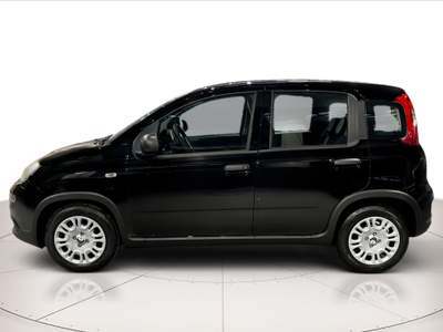 Fiat Panda 1.0 hybrid 70cv Nero usata Cerea